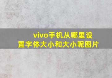 vivo手机从哪里设置字体大小和大小呢图片