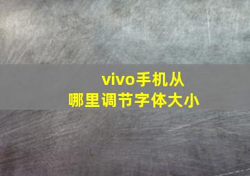 vivo手机从哪里调节字体大小