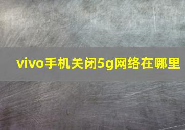 vivo手机关闭5g网络在哪里