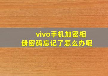 vivo手机加密相册密码忘记了怎么办呢