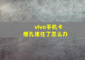 vivo手机卡槽孔堵住了怎么办