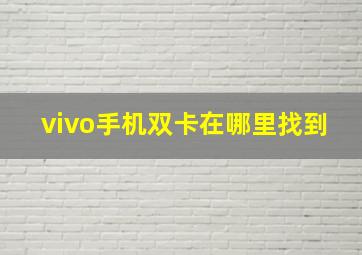 vivo手机双卡在哪里找到