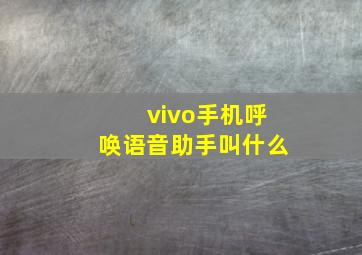 vivo手机呼唤语音助手叫什么