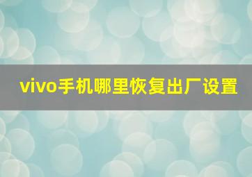 vivo手机哪里恢复出厂设置