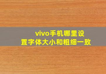 vivo手机哪里设置字体大小和粗细一致