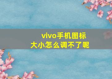 vivo手机图标大小怎么调不了呢