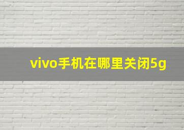 vivo手机在哪里关闭5g