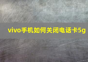 vivo手机如何关闭电话卡5g