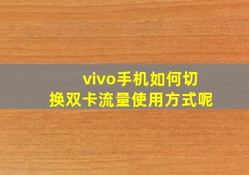 vivo手机如何切换双卡流量使用方式呢