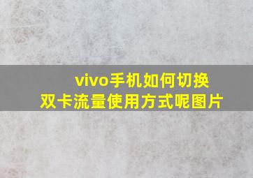 vivo手机如何切换双卡流量使用方式呢图片