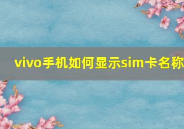 vivo手机如何显示sim卡名称