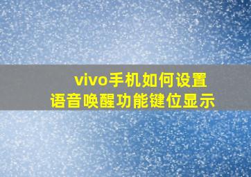 vivo手机如何设置语音唤醒功能键位显示