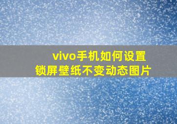 vivo手机如何设置锁屏壁纸不变动态图片