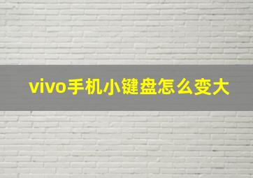 vivo手机小键盘怎么变大