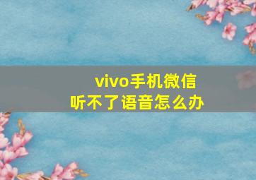 vivo手机微信听不了语音怎么办