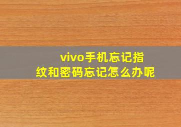 vivo手机忘记指纹和密码忘记怎么办呢