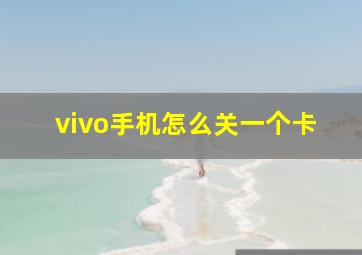 vivo手机怎么关一个卡