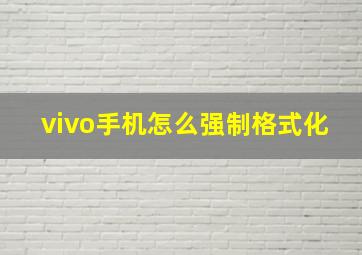 vivo手机怎么强制格式化