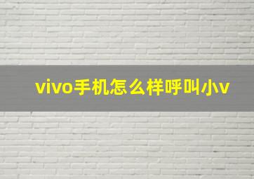 vivo手机怎么样呼叫小v