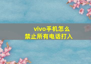 vivo手机怎么禁止所有电话打入