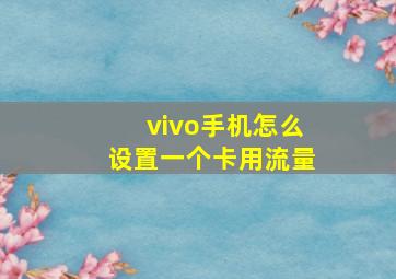 vivo手机怎么设置一个卡用流量