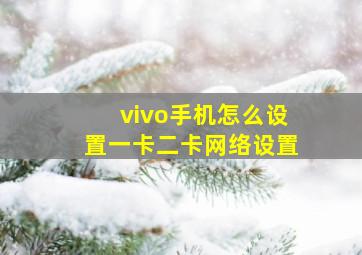 vivo手机怎么设置一卡二卡网络设置