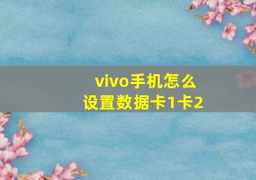 vivo手机怎么设置数据卡1卡2