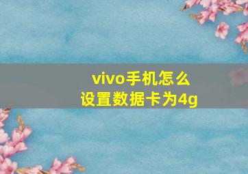 vivo手机怎么设置数据卡为4g