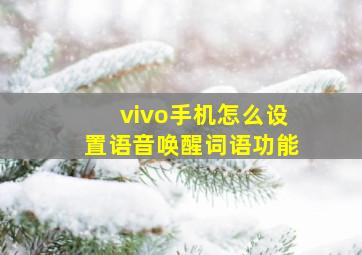 vivo手机怎么设置语音唤醒词语功能