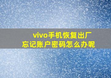 vivo手机恢复出厂忘记账户密码怎么办呢