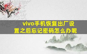 vivo手机恢复出厂设置之后忘记密码怎么办呢