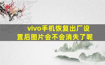 vivo手机恢复出厂设置后图片会不会消失了呢