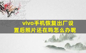 vivo手机恢复出厂设置后照片还在吗怎么办呢