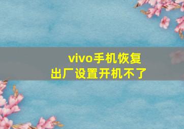 vivo手机恢复出厂设置开机不了