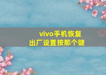 vivo手机恢复出厂设置按那个键