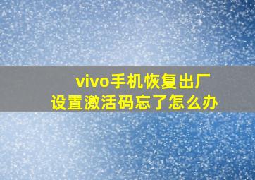 vivo手机恢复出厂设置激活码忘了怎么办