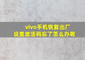 vivo手机恢复出厂设置激活码忘了怎么办呢