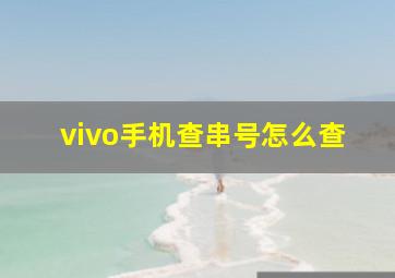 vivo手机查串号怎么查