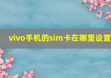 vivo手机的sim卡在哪里设置