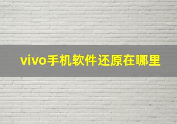 vivo手机软件还原在哪里