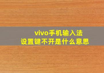 vivo手机输入法设置键不开是什么意思