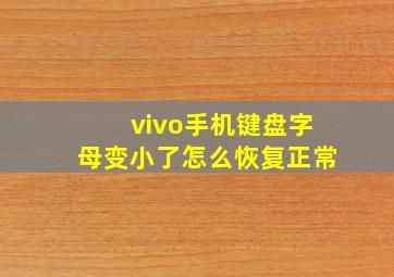 vivo手机键盘字母变小了怎么恢复正常