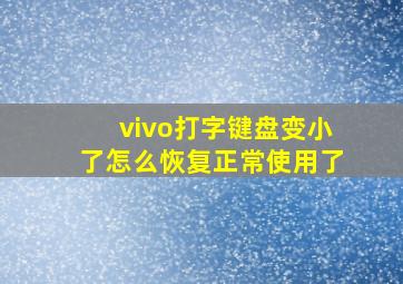 vivo打字键盘变小了怎么恢复正常使用了