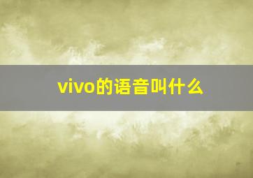 vivo的语音叫什么