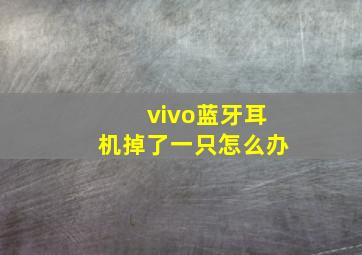 vivo蓝牙耳机掉了一只怎么办