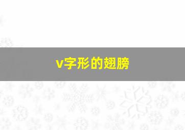 v字形的翅膀