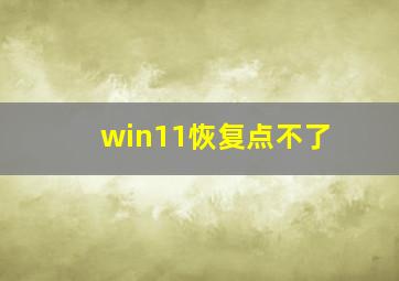 win11恢复点不了