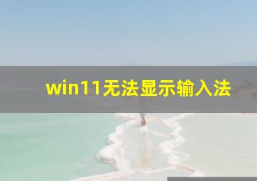 win11无法显示输入法