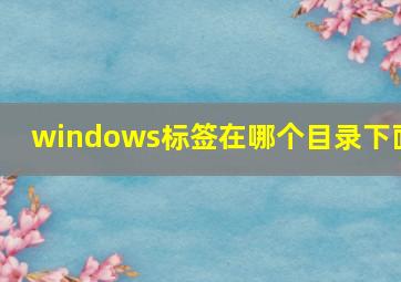 windows标签在哪个目录下面