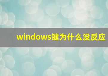 windows键为什么没反应